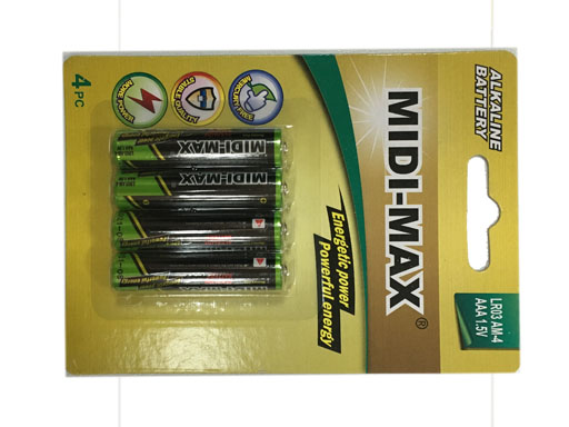 ALKALINE BATTERY